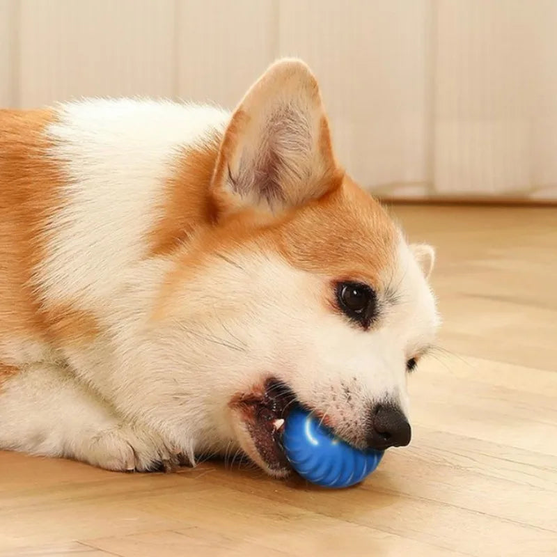 Smart Jumping Rotating Chew Toy Ball