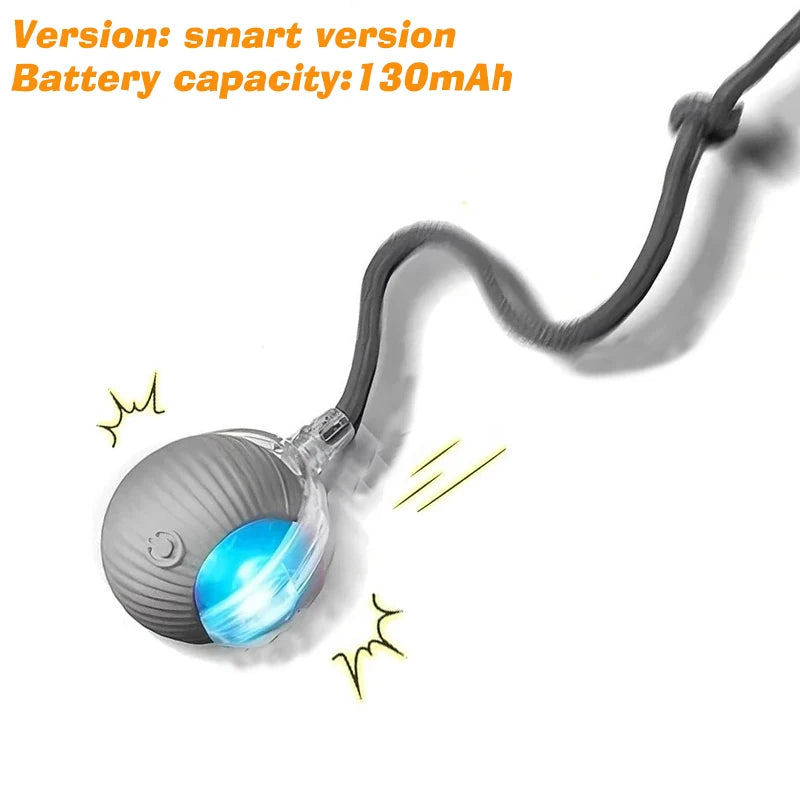 Pawmenta™ Smart Interactive Dog Ball