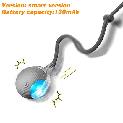 Pawmenta™ Smart Interactive Dog Ball
