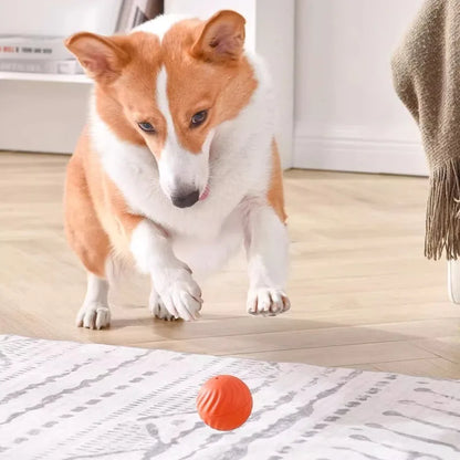 Smart Jumping Rotating Chew Toy Ball