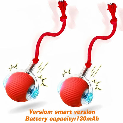 Pawmenta™ Smart Interactive Dog Ball
