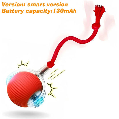Pawmenta™ Smart Interactive Dog Ball