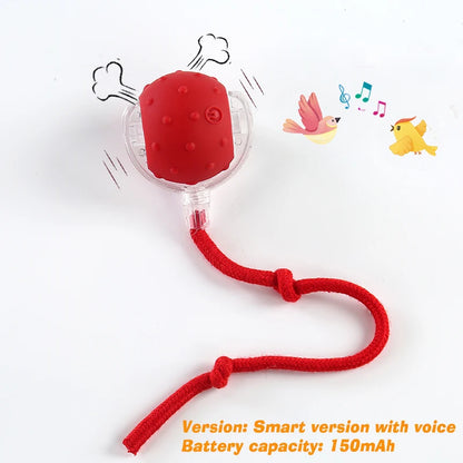 Pawmenta™ Smart Interactive Dog Ball