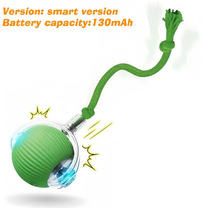 Pawmenta™ Smart Interactive Dog Ball